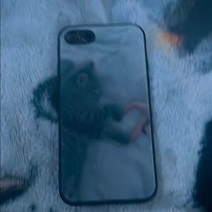 Cat Phone Case